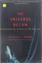 The Universe Below