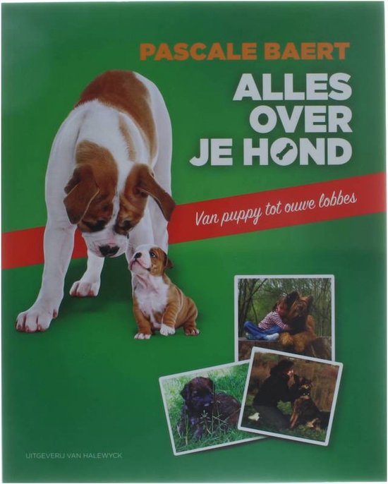 Alles over je hond