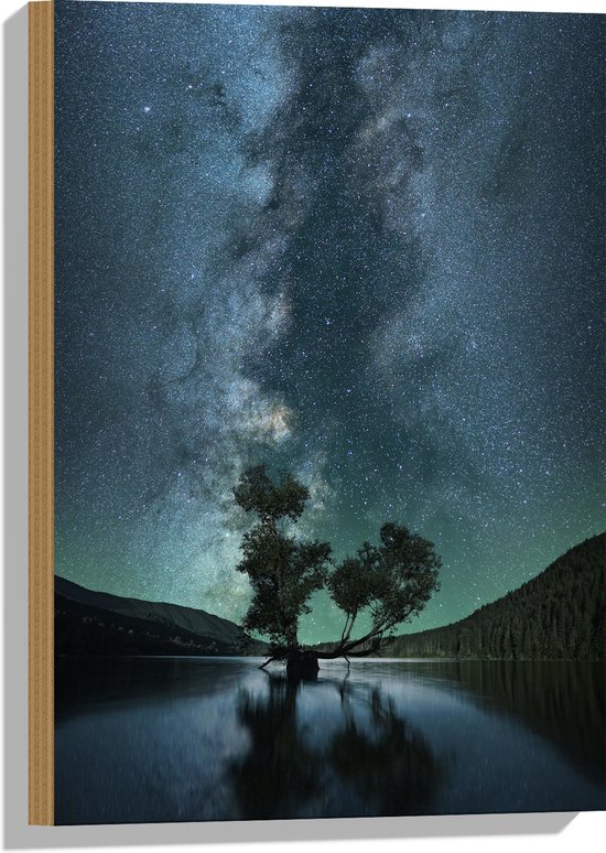 WallClassics - Hout - Prachtige Nacht met Sterren in de Natuur - 40x60 cm - 9 mm dik - Foto op Hout (Met Ophangsysteem)