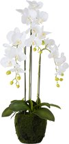 J-Line bloem Orchidee Fresh Touch - kunststof - wit - medium