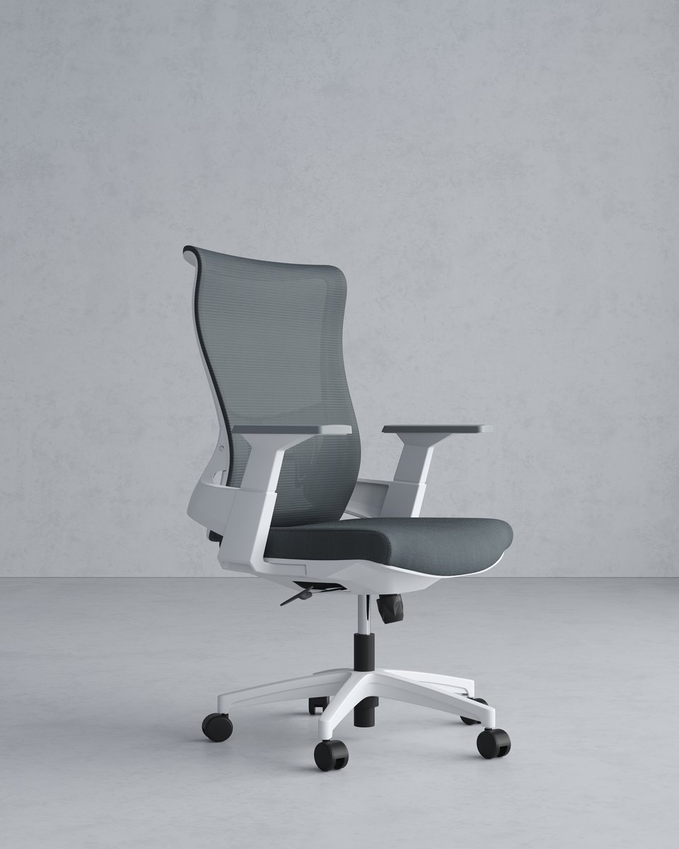 Ergonomische Bureaustoel - Verstelbaar - Wit/Grijs