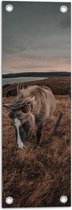 WallClassics - Tuinposter – Paarden op een Heuvel - 20x60 cm Foto op Tuinposter (wanddecoratie voor buiten en binnen)