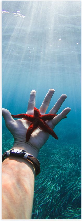 WallClassics - Poster (Mat) - Rode Zeester Onder Water - 30x90 cm Foto op Posterpapier met een Matte look