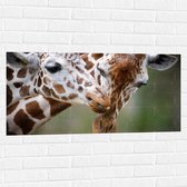 Muursticker - Liefdevol Giraffe Duo - 100x50 cm Foto op Muursticker