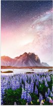 Poster Glanzend – Lavendelveld in Landschap met Bergen onder Sterrenhemel - 50x100 cm Foto op Posterpapier met Glanzende Afwerking