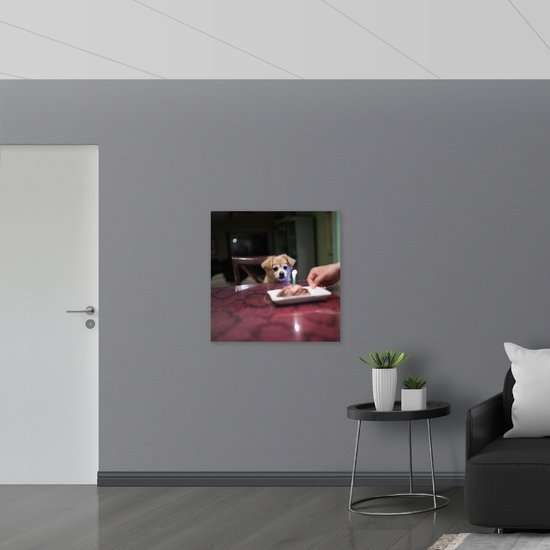 WallClassics - Assiette en Mousse PVC - Anniversaire Klein Chien Assis sur une Chaise à Table à Manger - Photo 80x80 cm sur Assiette en Mousse PVC