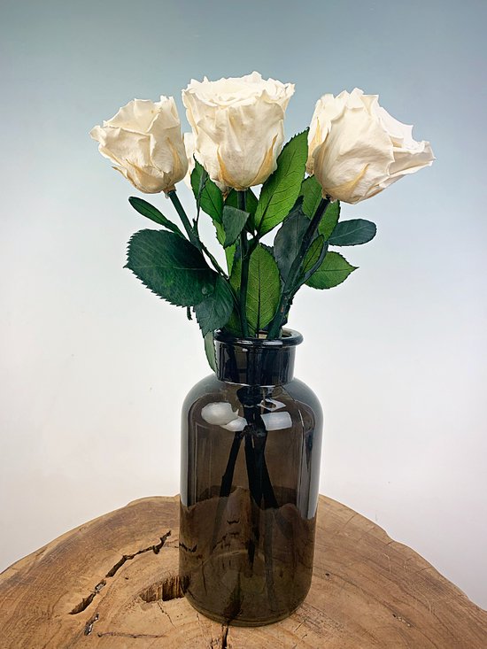 Longlife Rozenbos (5 stuks) witte incl. zwarte melkbus | Uniek en Perfect Cadeau voor Valentijnsdag
