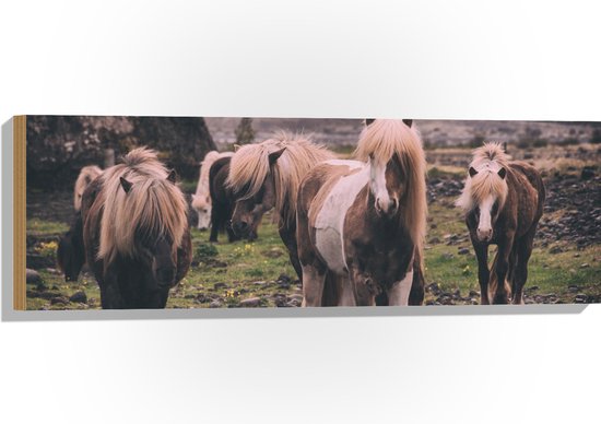 WallClassics - Hout - Kudde Friese Paarden - 90x30 cm - 9 mm dik - Foto op Hout (Met Ophangsysteem)
