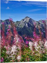 Acrylglas - Prachtige Bloemen aan de Rand van Cliff in Berggebied - 75x100 cm Foto op Acrylglas (Wanddecoratie op Acrylaat)