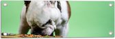 WallClassics - Tuinposter – Hondje aan het Eten voor Groene Achtergrond - Buldog - 60x20 cm Foto op Tuinposter (wanddecoratie voor buiten en binnen)