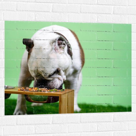 WallClassics - Muursticker - Hondje aan het Eten voor Groene Achtergrond - Buldog - 100x75 cm Foto op Muursticker