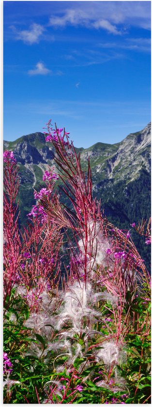 Poster Glanzend – Prachtige Bloemen aan de Rand van Cliff in Berggebied - 30x90 cm Foto op Posterpapier met Glanzende Afwerking