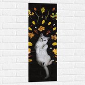 WallClassics - Muursticker - Liggende Kat omringt door Blaadjes - 30x90 cm Foto op Muursticker