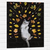 WallClassics - Muursticker - Liggende Kat omringt door Blaadjes - 60x80 cm Foto op Muursticker