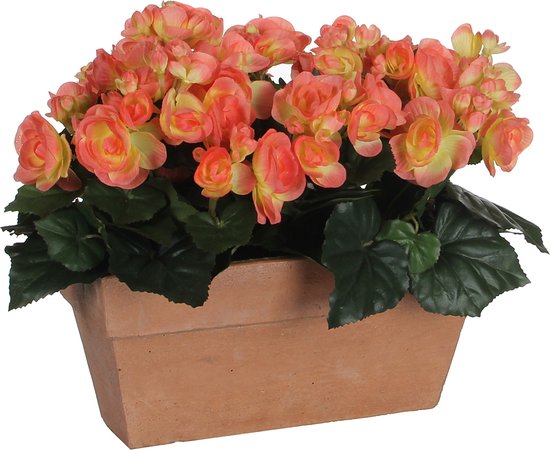 Plastia Blumentopf Begonia – 35x35 Cm, Terracotta, Quadratisch