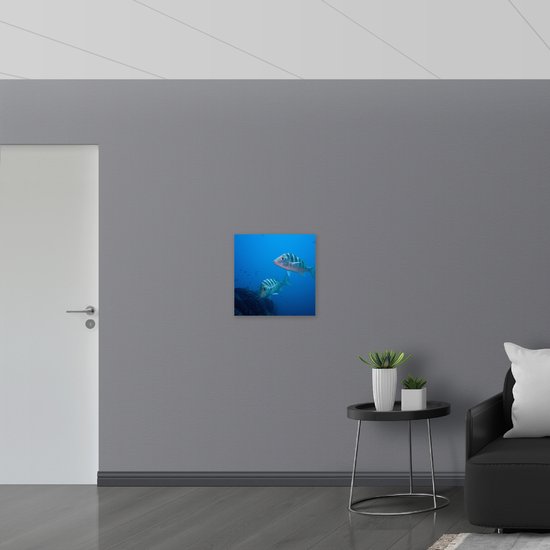 WallClassics - Bois - Pêche dans Water Blauw - 50 x 50 cm - Épaisseur 9 mm - Photo sur bois (avec système de suspension)