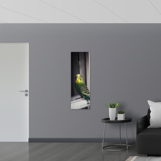 WallClassics - Muursticker - Vogel Vert à Tête Jaune Assis sur une Fenêtre - 40x120 cm Photo sur Muursticker