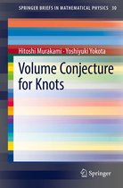 SpringerBriefs in Mathematical Physics 30 - Volume Conjecture for Knots