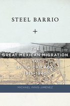 Culture, Labor, History 10 - Steel Barrio
