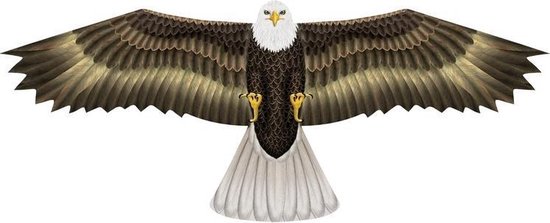 jukbeen niet verwant opvolger Amerikaanse zeearend roofvogel vlieger 112 x 50 cm | bol.com