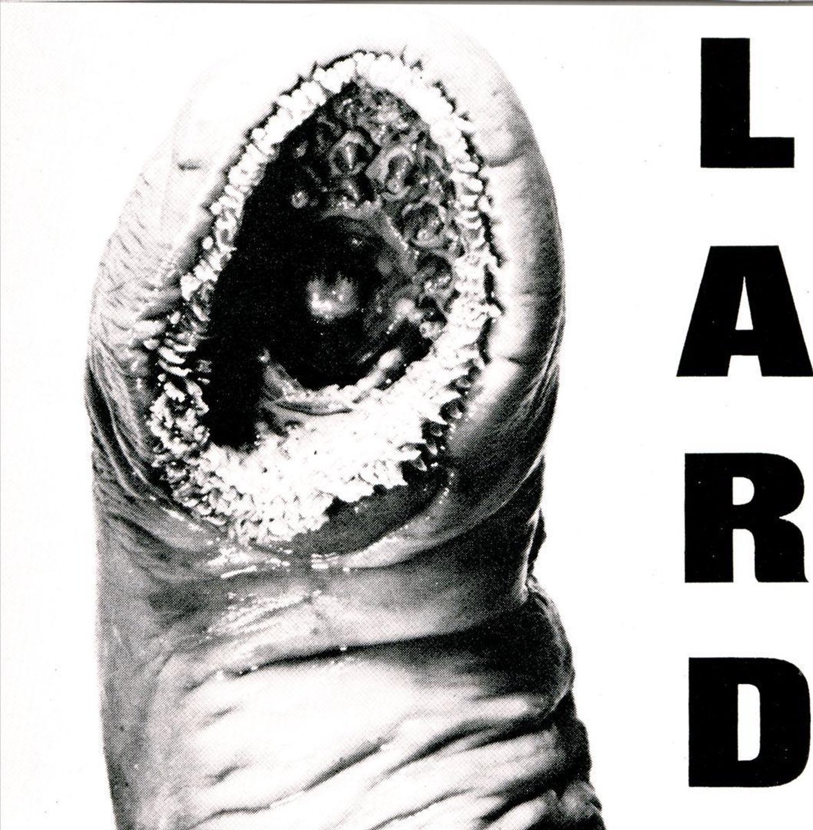 The Power Of Lard - Lard