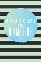 Anatomy is HUMERUS