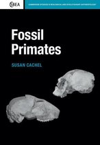 Cambridge Studies in Biological and Evolutionary Anthropology 70 - Fossil Primates