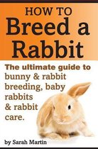 How to Breed a Rabbit