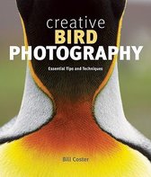 Creative Bird Photography: Essential Tips And Techniques