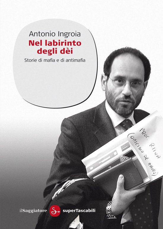 Nel labirinto degli Dei - cover