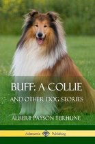 Buff; A Collie