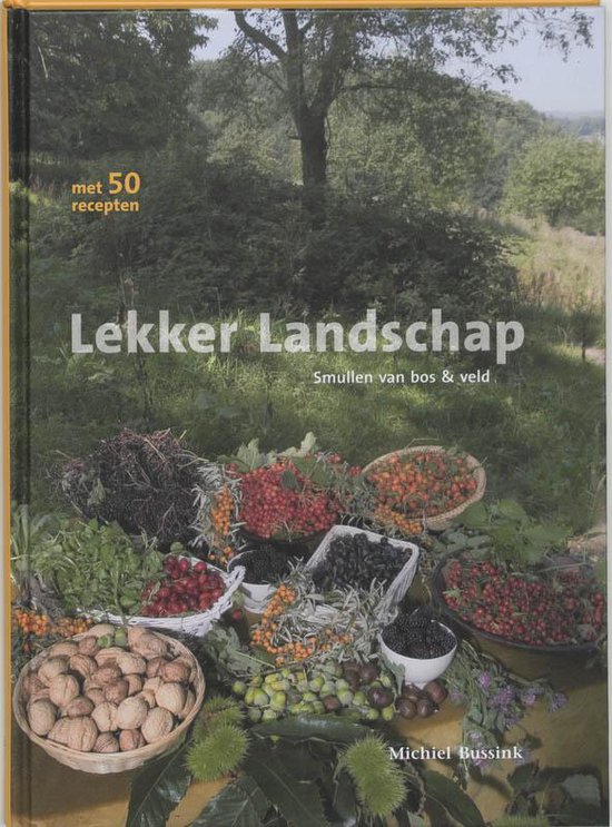 Cover van het boek 'Lekker landschap / druk 1' van Michiel Bussink