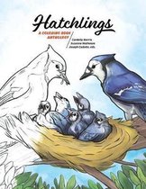 Coloring Nature- Hatchlings