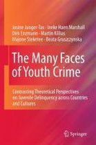 The Many Faces of Youth Crime