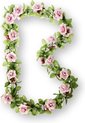 foto van Basil Flower Garland Bloemenslinger - Roze