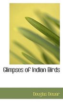 Glimpses of Indian Birds