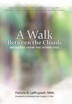 Omslag A Walk Between the Clouds