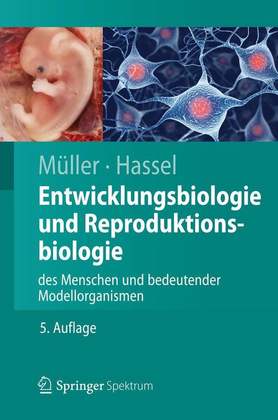 Foto: Springer lehrbuch entwicklungsbiologie und reproduktionsbiologie des menschen und bedeutender modellorganismen