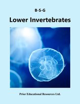 Biology Study Guides - Lower Invertebrates