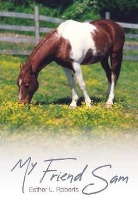 My Friend Sam - cover