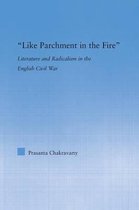 Literary Criticism and Cultural Theory- Like Parchment in the Fire