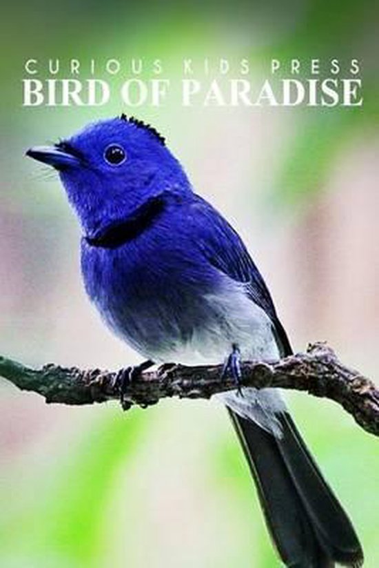 Birds Of Paradise - Curious Kids Press - cover