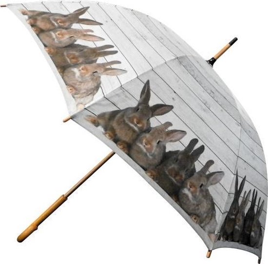 paraplu steigerhout bruine konijnen