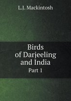 Birds of Darjeeling and India Part 1