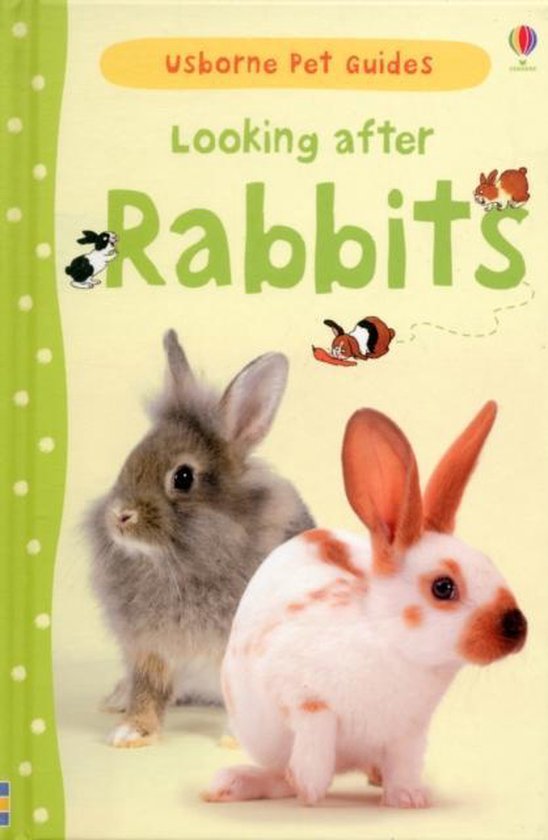 Looking after Rabbits, Fiona Patchett 9781409532439 Boeken