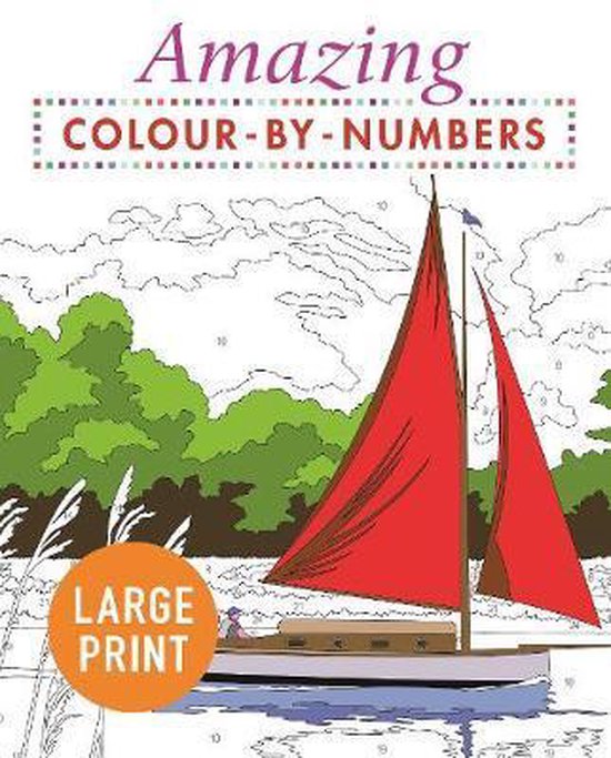 Amazing ColourbyNumbers Large Print, Arcturus Publishing