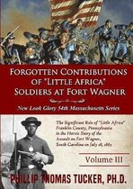Forgotten Contributions of "Little Africa" Soldiers at Fort Wagner