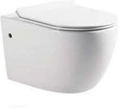 Excellent Wellness Design Hang Toilet Type: 009, met Softclose WC-bril