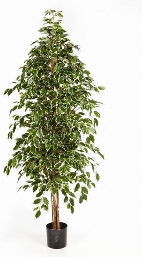 Ficus Exotica Kunstplant Bol Com