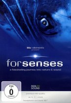 Forsenses - A Fascinating Journey into Nature & Sound
